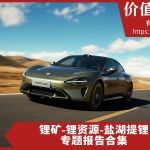 锂矿-锂资源-盐湖提锂专题报告合集